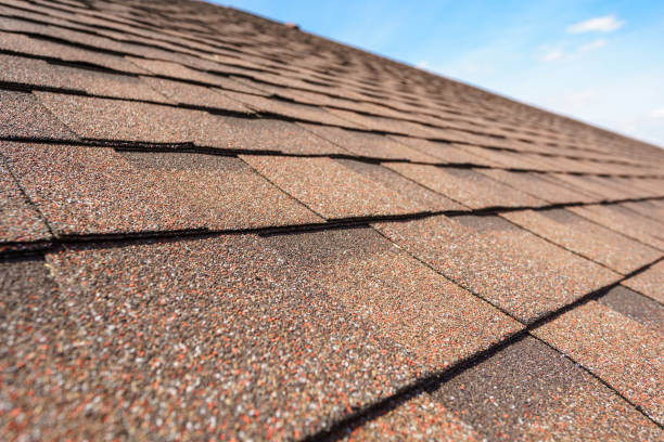 Top Roofing Company in Tampa